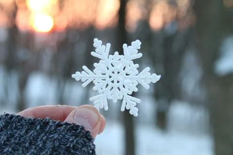 Hand holding a snowflake Stock Photos