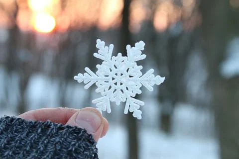 Hand holding a snowflake Stock Photos