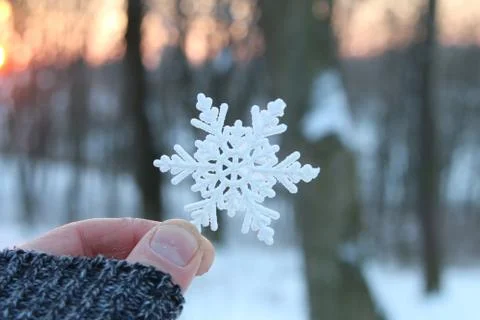 Hand holding a snowflake Stock Photos