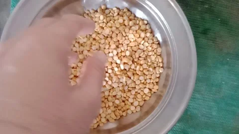 Hand Holding Split Chickpeas Lentils Close Up Stock-Footage 347441628