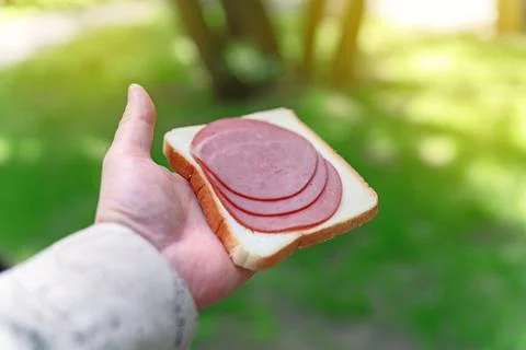 Hand holding a square slice of toasted white bread topped with three round .. Stock Photos