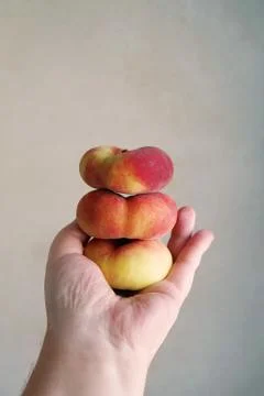 Hand holding stack of flat peaches Stock Photos