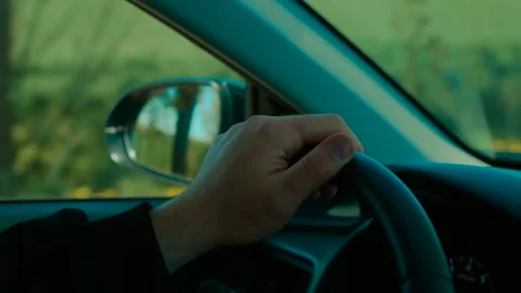 Hand holding steering wheel while unrecognizable man driving past green field Stock Footage 311818698