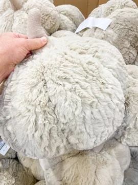 A hand holding the stem of a soft, plush beige pumpkin decoration in a store Fotos Stock