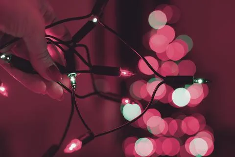 Hand holding string of Christmas lights with xmas tree in the background. Foto stock