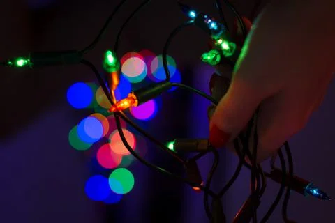 Hand holding string of Christmas lights with xmas tree in the background. Stock Photos
