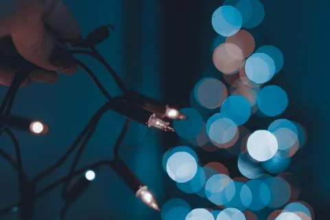 Hand holding string of Christmas lights with xmas tree in the background. Stock Photos