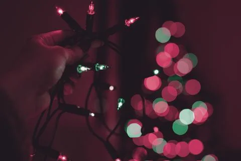 Hand holding string of Christmas lights with xmas tree in the background. Stock Photos