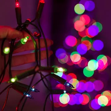 Hand holding string of Christmas lights with xmas tree in the background. Stock Photos