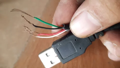 Hand holding a stripped USB cable showing four wire cores in green, black, .. Stock Footage 324824807