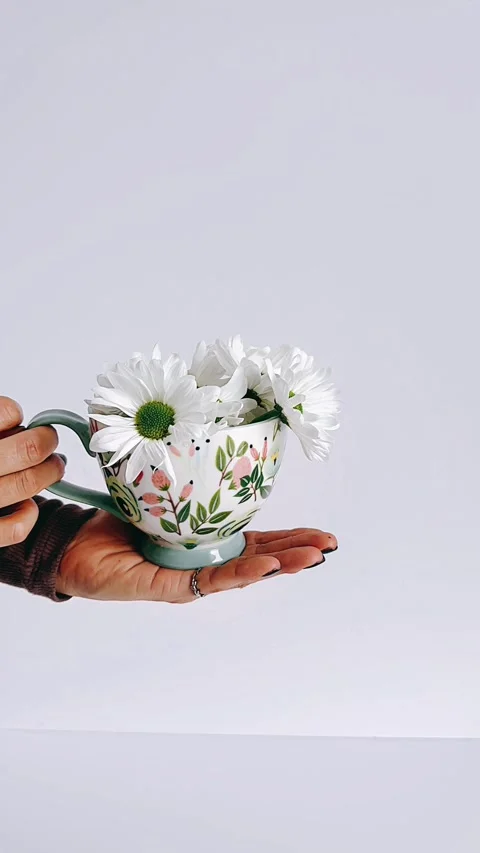 Hand holding tea cup, tea cup with flowers, white flowers in cup, Stock Footage 306711060