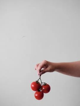 A hand holding three red tomatoes Stock Photos