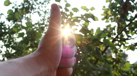 Hand Holding Thumbs Up Stock Footage 40637682