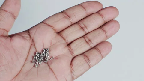 Hand Holding tiny Wood Screws Stock Footage 248764481