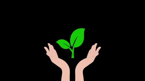 Hand holding tree environment animated keeping environment tree plants guar.. Stock Footage 276847529