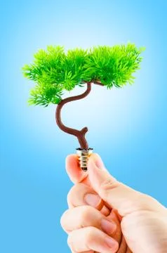 Hand holding tree growing on light bulb with light blue sky,eco concept Stock Photos