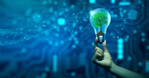 Hand holding Tree growing in light bulb. Ecology, Technology Convergence, Gre Stock Photos