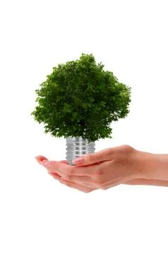 Hand holding a tree Illustrazione stock