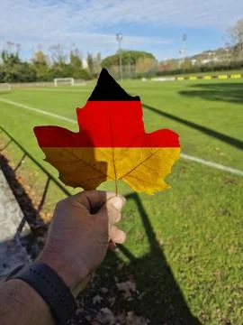 Hand holding a tree leaf with the flag of germany Stock Photos