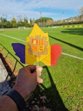 Hand holding a tree leaf with the flag of andorra Stock Photos