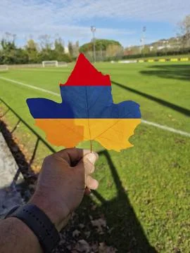 Hand holding a tree leaf with the flag of Armenia Stock Photos