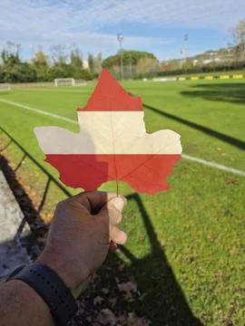 Hand holding a tree leaf with the flag of Austria Stock Photos