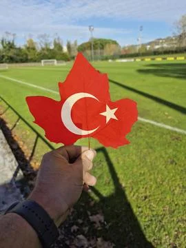 Hand holding a tree leaf with the flag of Turkey Stock Photos