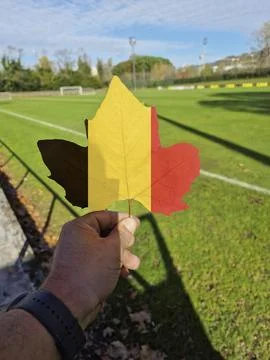 Hand holding a tree leaf with the flag of belgium Stock Photos