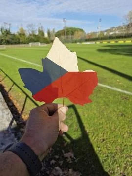 Hand holding a tree leaf with the flag of czech Stock Photos