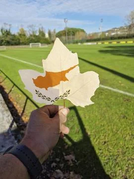 Hand holding a tree leaf with the flag of Cyprus Stock Photos