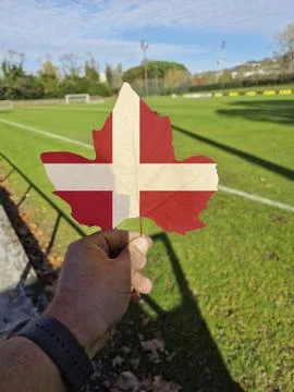 Hand holding a tree leaf with the flag of Denmark Stock Photos
