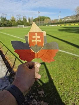 Hand holding a tree leaf with the flag of Slovakia Stock Photos
