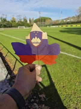 Hand holding a tree leaf with the flag of Slovenia Stock Photos