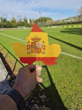 Hand holding a tree leaf with the flag of spain Stock Photos