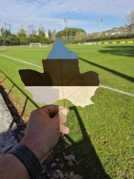 Hand holding a tree leaf with the flag of estonia Stock Photos