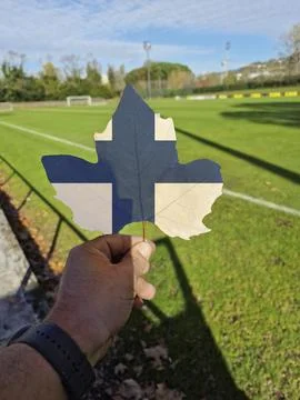 Hand holding a tree leaf with the flag of Finland Stock Photos
