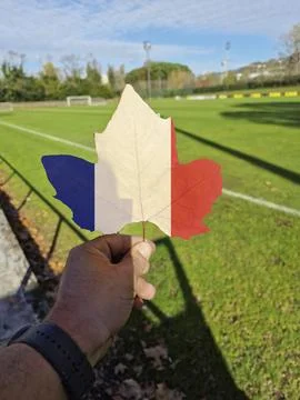 Hand holding a tree leaf with the flag of France Stock Photos