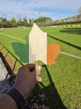 Hand holding a tree leaf with the flag of ireland Stock Photos