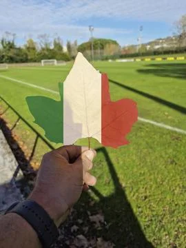 Hand holding a tree leaf with the flag of Italy Stock Photos