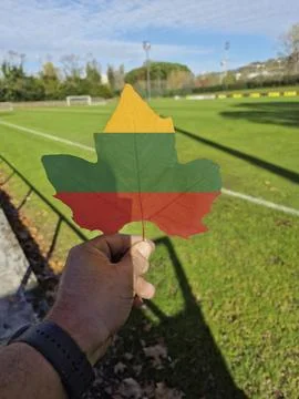 Hand holding a tree leaf with the flag of Lithuania Stock Photos