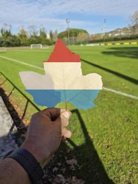 Hand holding a tree leaf with the flag of luxembourg Stock Photos