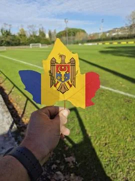 Hand holding a tree leaf with the flag of moldova Stock Photos
