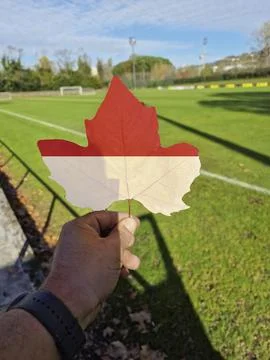 Hand holding a tree leaf with the flag of Monaco Stock Photos
