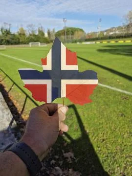 Hand holding a tree leaf with the flag of Norway Stock Photos