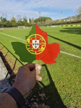 Hand holding a tree leaf with the flag of Portugal Stock Photos