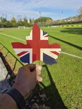 Hand holding a tree leaf with the flag of United Kingdom Stock Photos