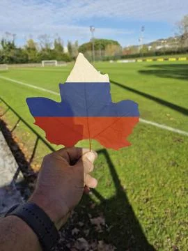 Hand holding a tree leaf with the flag of Russia Stock Photos
