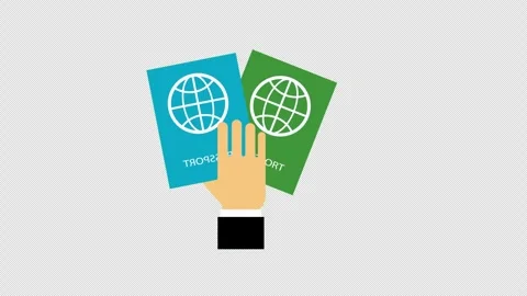 Hand Holding Two Passports Representing International Travel and Citizenship Stock Footage 339769845