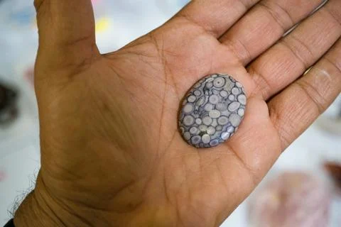 Hand holding a unique patterned stone Stock Photos