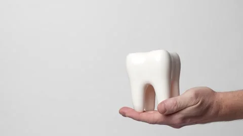 Hand holding white tooth model on white background. Stock Footage 261844783